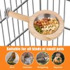 Bird Perch with Feeding Cup, Wood Stand and Cage Accessories