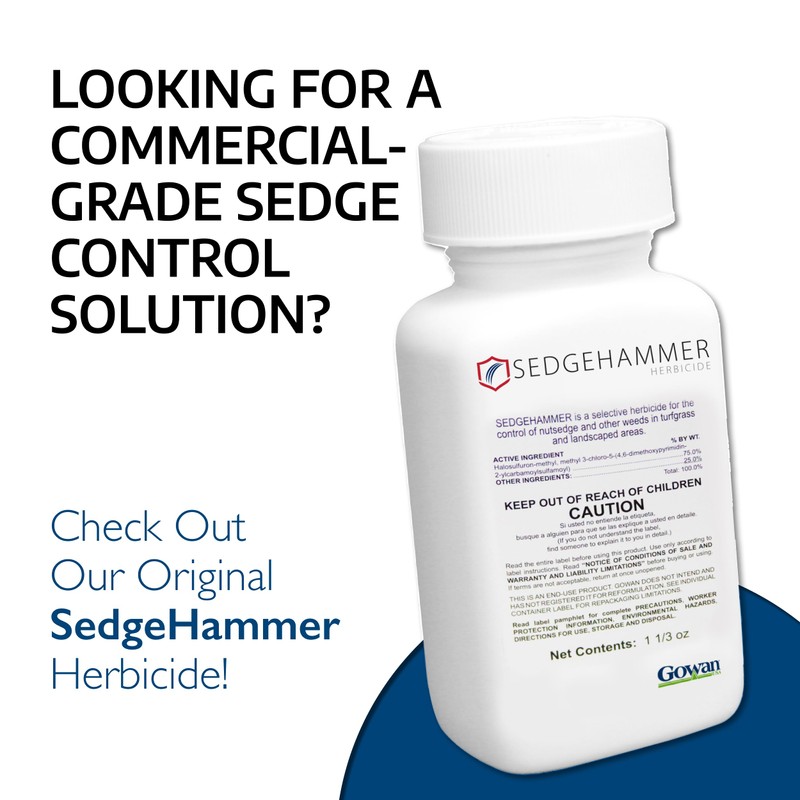 Sedgehammer Plus Turf Herbicide - 4 Pack of 13.5 Gram