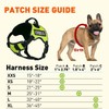 Dogline Quest No-Pull Dog Harness with Nervous Dog Reflective Removable