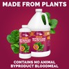Bloom City's Organic Nitrogen - Liquid Fertilizer for Lawns -