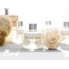 Aronica Mini Sola Flower Diffuser, 40 ml – Midnight Jasmine