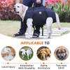 Backpack Carrier for Large Dog Full Body Dog Sling with