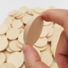 Natural Wood Slices Blank Round Wood Slices Unfinished Wood Circles