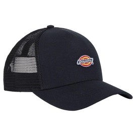 Dickies Hanston Trucker Cap, black