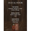 Oud Al Noor by ZENIA 3.4oz (100ml) EDP Perfume Spray