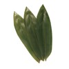 BambooMN Bamboo Leaves for Cooking Zongzi, Banana Leaf Alternative, Grilling/Barbeque,