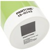 PANTONE Pencil Cup, Green 15-0343