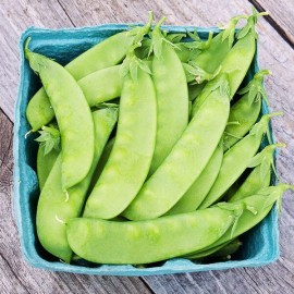 Mai's Family Oregon Sugar Pod II Snow Pea Seeds, Organic, NON-GMO - 50+ Seeds