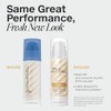 Paul Mitchell Twirl Around Crunch-Free Rizador de pelo