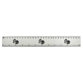 'Sleepy Fox' 30cm (12 Inch) White Plastic Ruler (RL00093316)
