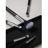 DAISO Makeup Brush 5 Piece Set