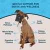 Animal Essentials Detox Blend Liver Support for Dogs and Cats,
