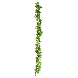 Vickerman FA188801 FA188801 Green Ivy Garland
