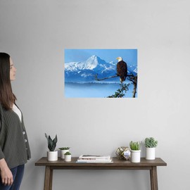 Bald Eagle Perched On Spruce Branch Wall Decal, Eagle Artwork