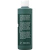 Apple Barrel Acrylic Paint in Assorted Colors (8 oz), 20429