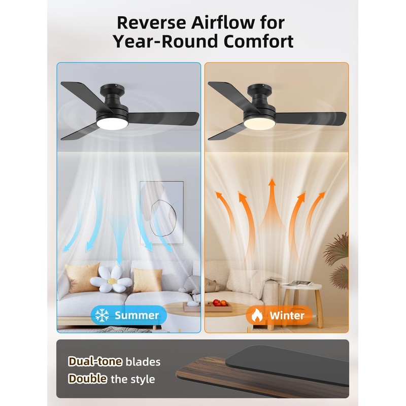 Homlit 42 inch RGB Ceiling Fan with Light, Smart App