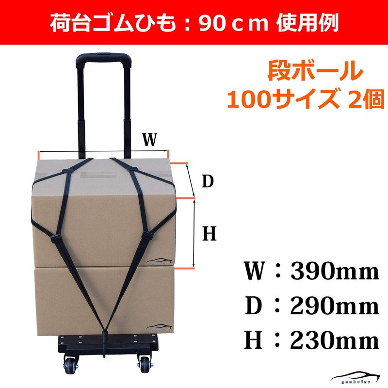 ganbalzo LRS-01 Cargo Elastic Cord Set of 2 Bicycle Bike