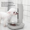 Dog Standing Water Dispenser Bowl Automatic Detachable Pet Drinking Feeder