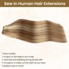 Weft Hair Extensions Human Hair, 12/613 Golden Brown to Bleach