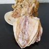 LIFAF Dried Squid Dried Cuttlefish (100g(3.53oz))