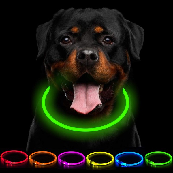 CCWW LED Light Up Dog Collar USB Rechargeable - Adjustable