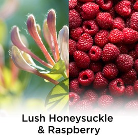 Air Wick Plug in Scented Oil Refill, 5 ct, Lush Honeysuckle and Raspberry, Air Freshener, Essential Oils, Spring Collection