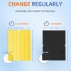 Pulluty 4 Pack 116131 HEPA Replacement Filter I for Winix