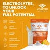 Vitalyte Vitalyte Electrolyte Powder Drink Mix, Isotonic Electrolyte Hydration Mix,