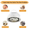 Defeat Fleas with Confidence Using Multiple Flea Traps for a