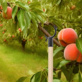 West Bay 8 Pcs Tree Branch Support Metal Tree Crutch Support Device Leaning Straighten