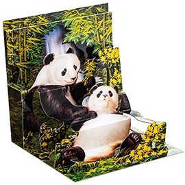 Happy Birthday Cards - Holiday Greeting Card, Graduation, Wedding, Anniversary Cards - for Wife Husband Kids Friends w/ Mailing Envelope (1 Pack, Panda)