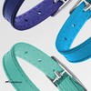 CollarDirect Leather Cat Collar, Cat Safety Collar with Elastic Strap,