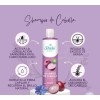 Shampoo Sheló Nabel Cebolla 530 Ml Antioxidante Fuerza 2pz
