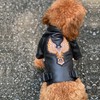 Lovelonglong Cool Dog Leather Jacket, Warm Coats Dogs Windproof Cold