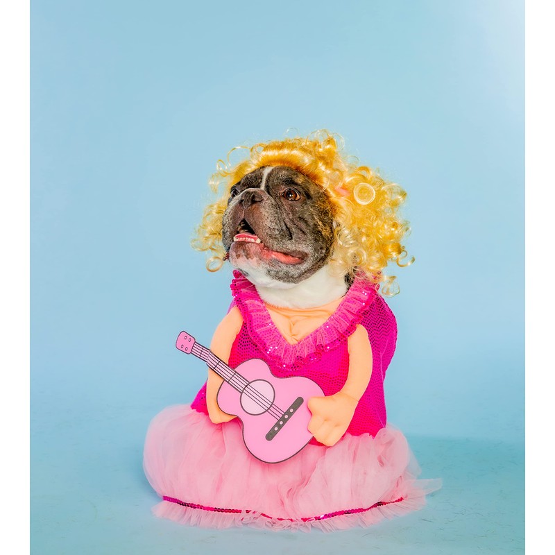 Doggy Parton Pink Dress, Guitar & Wig Set - XS/S