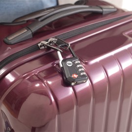 Yale - YTP5/31/223/1 Standard Security Travel Sentry Genehmigte Vorhängeschloss mit Clip -On -Häppchen