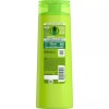 Garnier Fructis Shampoo Color Treated Shield Fortifying Fruit Protein 22