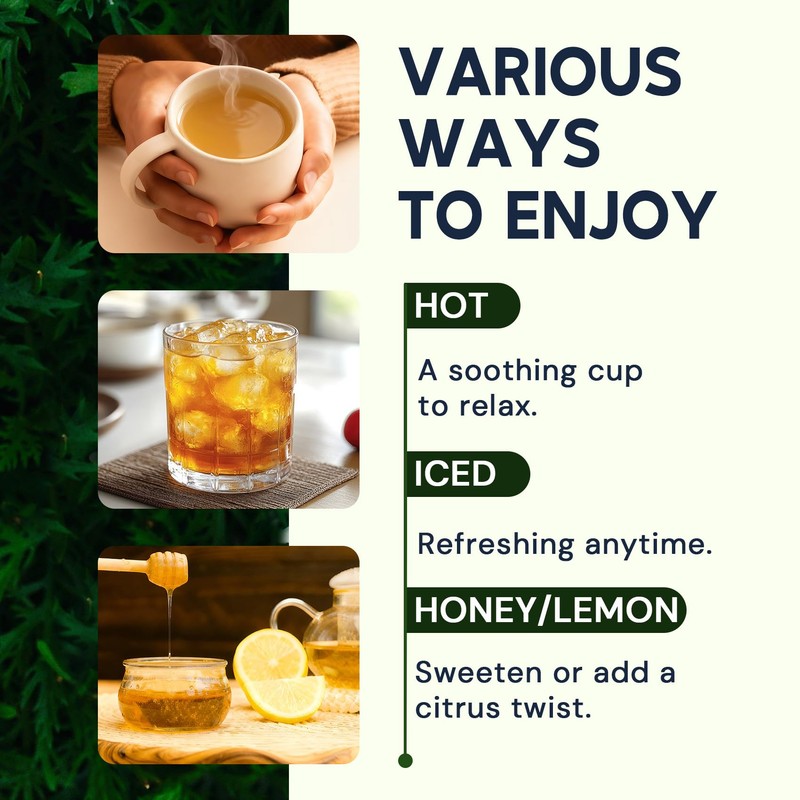 Moringa Leaf Tea - Caffeine Free, 50 Tea Bags