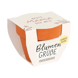 Grafik-Werkstatt Flower Greetings Summer Flower Mix | Mini Terracotta Potty with Seeds | Best Mum in the World, Orange