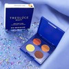 TRESLUCE Beauty RESILIENT ALMA EyeShadow Quad Palette 0.12oz Vegan New