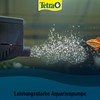 Tetra Pompe à eau WP - A
