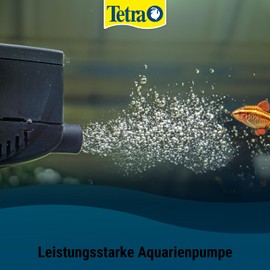 Tetra Pompe à eau WP - A