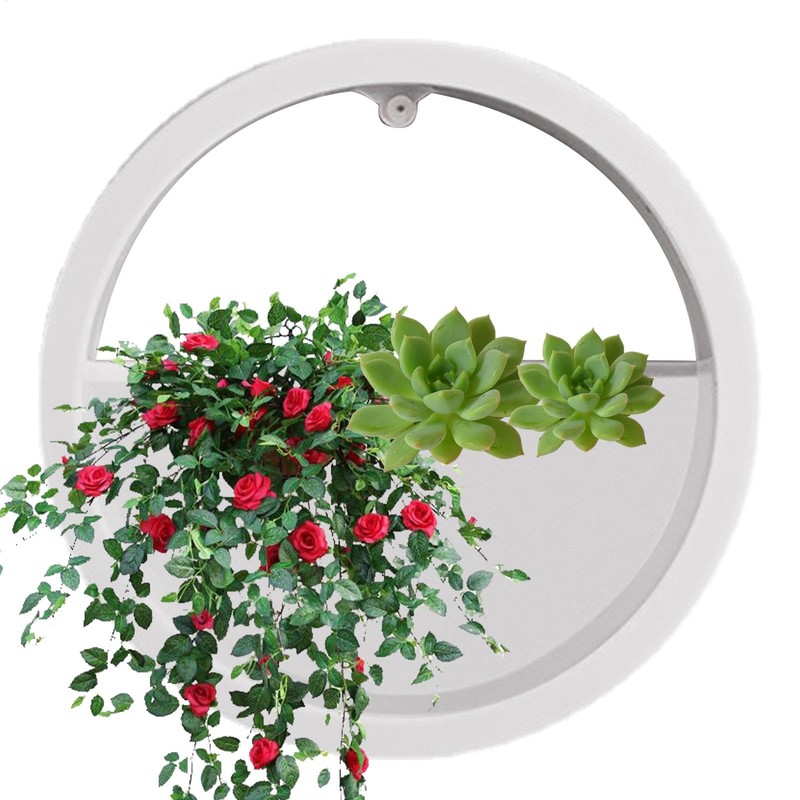 Round Wall Planter - Clear Vase Air Plants Holders |