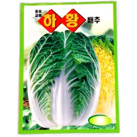 Cabbge Seeds Korean. 2 Pack(4grams-Each)