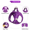 YIMEIS Dog Harness and Leash Set, No Pull Soft Mesh