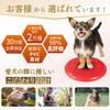 JON TORUDO Dog Balance Disc Core Training (Red)