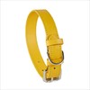 Baker and Bray Luxury Eco Friendly Genuine Leather Designer Dog