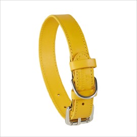 Baker and Bray Luxury Eco Friendly Genuine Leather Designer Dog Collar, Lemon - Yellow (Extra Small : fits neck size 18-25 cm)