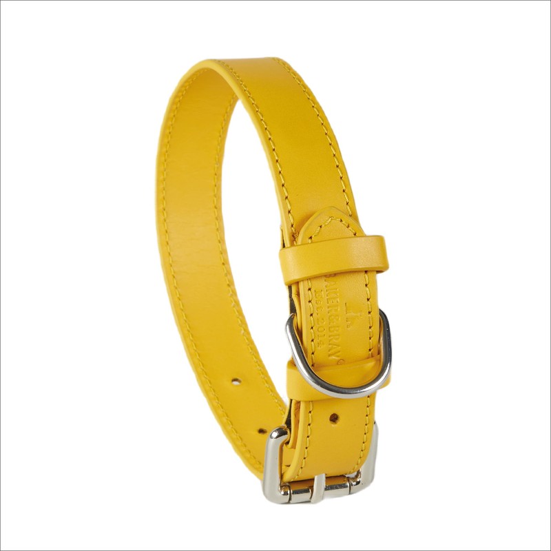 Baker and Bray Luxury Eco Friendly Genuine Leather Designer Dog