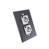 usbargainsound ProCraft Black Wall Plate 2 Power Out Gray AC